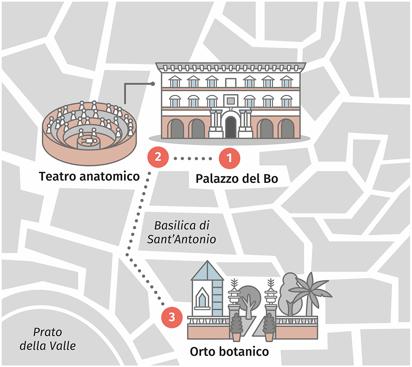 Mappa illustrata di Padova con Palazzo del Bo, Teatro anatomico e Orto botanico, collegati da un percorso.