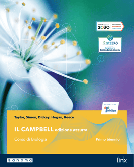 Campbell-azzurra-primo-biennio-1