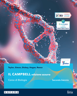 Campbell-azzurra-secondo-biennio-1