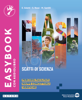 flash-easybook