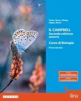 campbell_2ed_azzurra