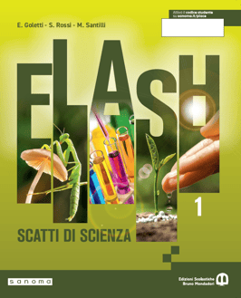 flash_cover