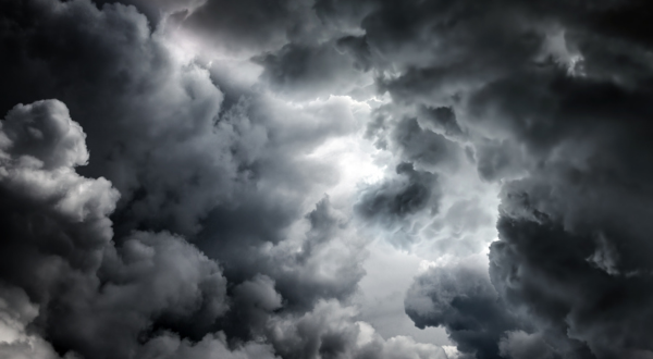 club_mulas_shutterstock_1349560817