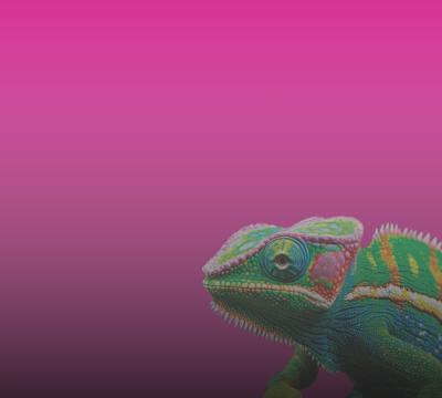 SLSCC_In Evidenza (2)