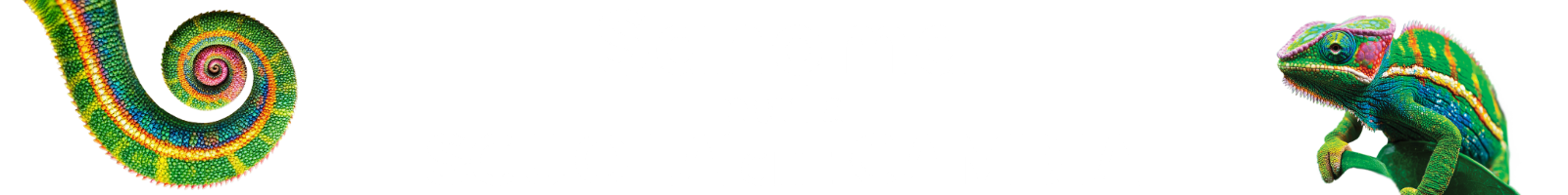 la-scuola-che-cambia-banner