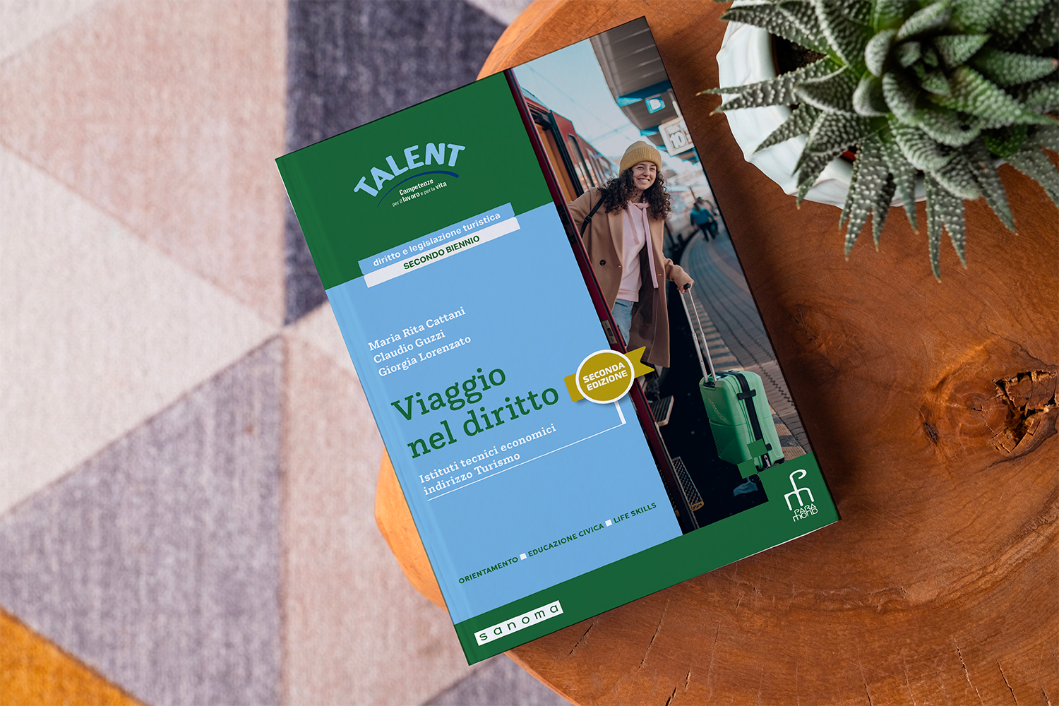 viaggio nel diritto_cover