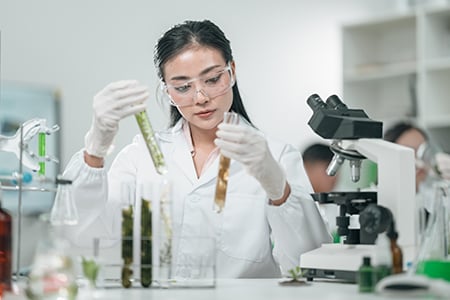 Science_10ottobre2026_Cufari_shutterstock_2626665593