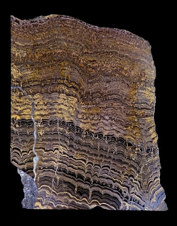 Scienze_04aprile2025_Benedetto_1602px-Stromatolites_Cochabamba