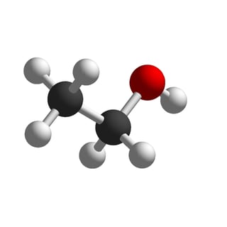 Scienze_10ott2025_Branchini_shutterstock_1820386955