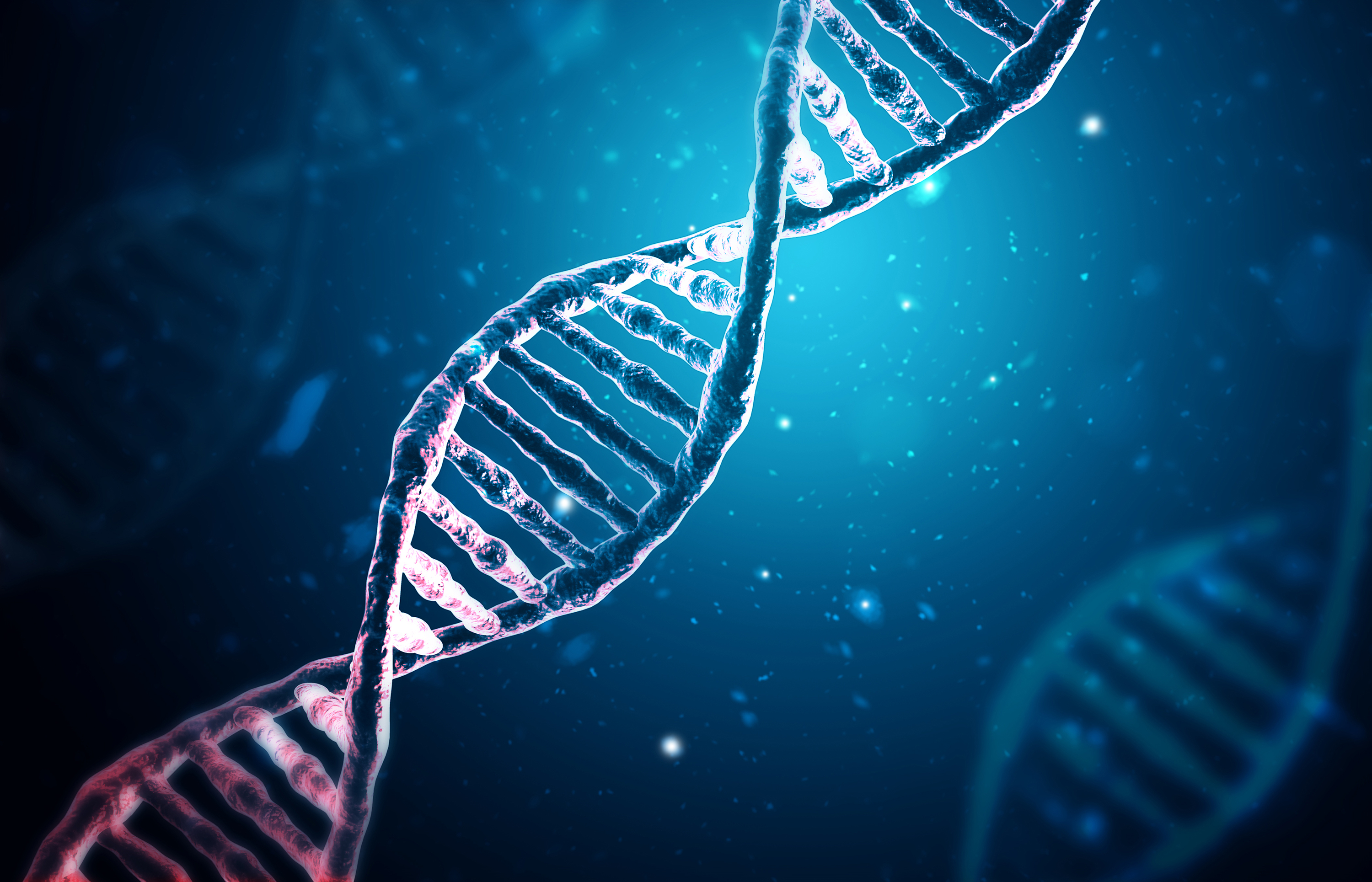 Dna Del Roo I meccanismi di riparazione del DNA | Science Factory di Sanoma Italia