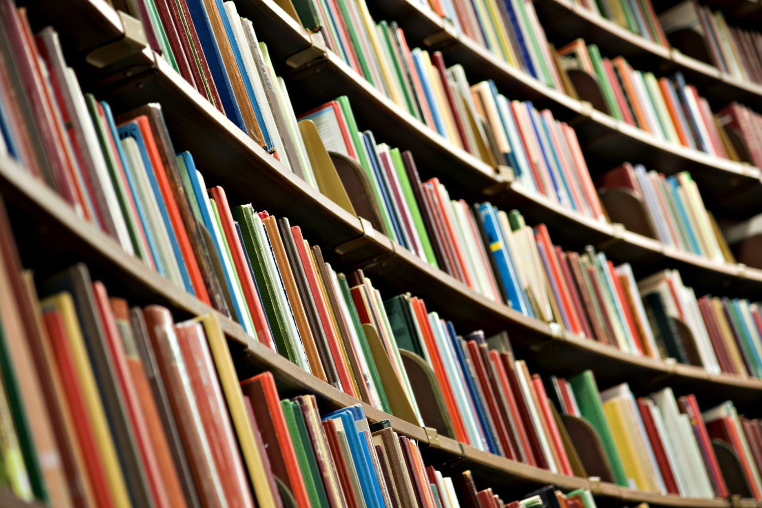 testata-disciplinare-antologia-sssg-shutterstock_95584771