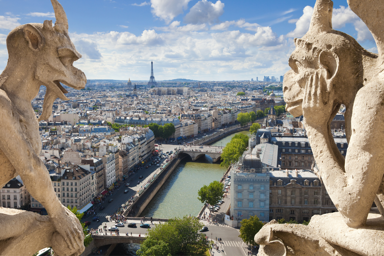 testata-disciplinare-francese-sspg-shutterstock_62710501