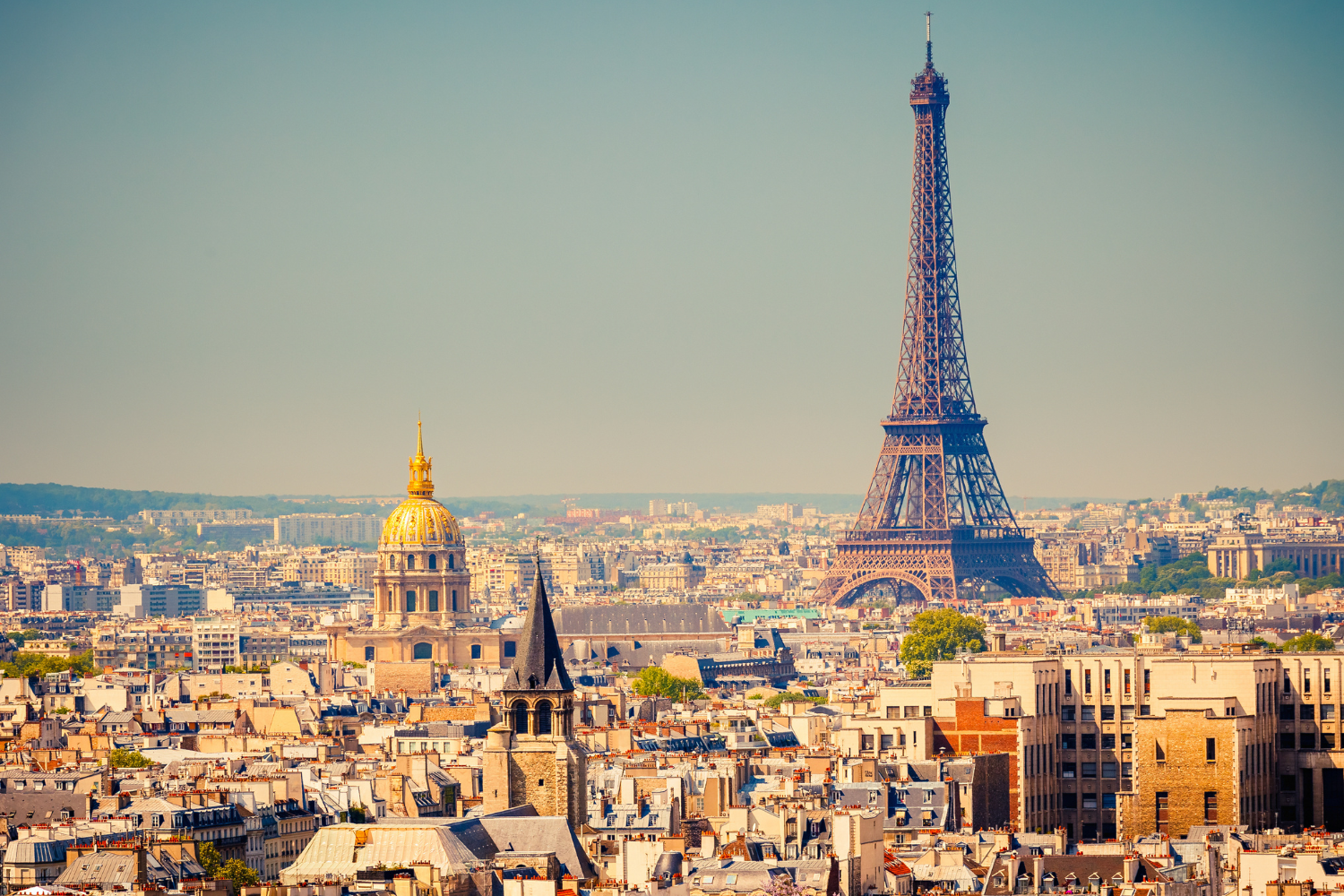 testata-disciplinare-francese-sssg-shutterstock_111362132