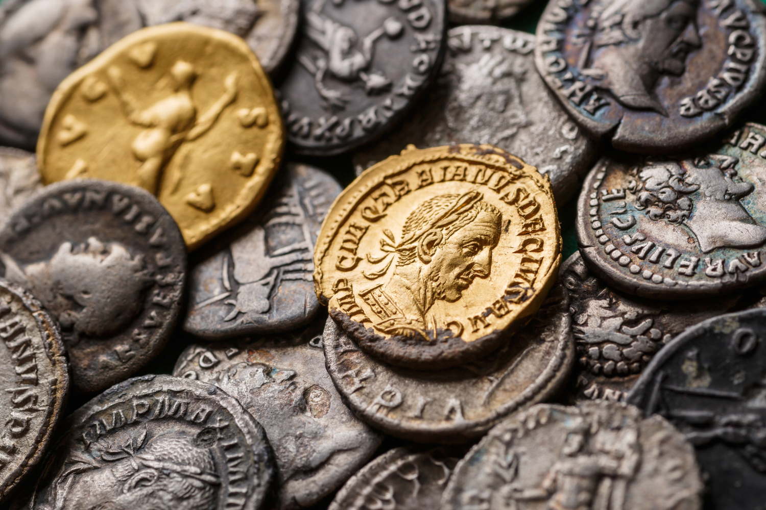 testata-disciplinare-latino-shutterstock_1907259034