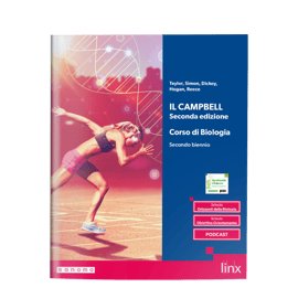tabellone_demo_campbell_2ed_2b_cover