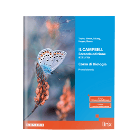 tabellone_demo_campbell_2ed_azzurra