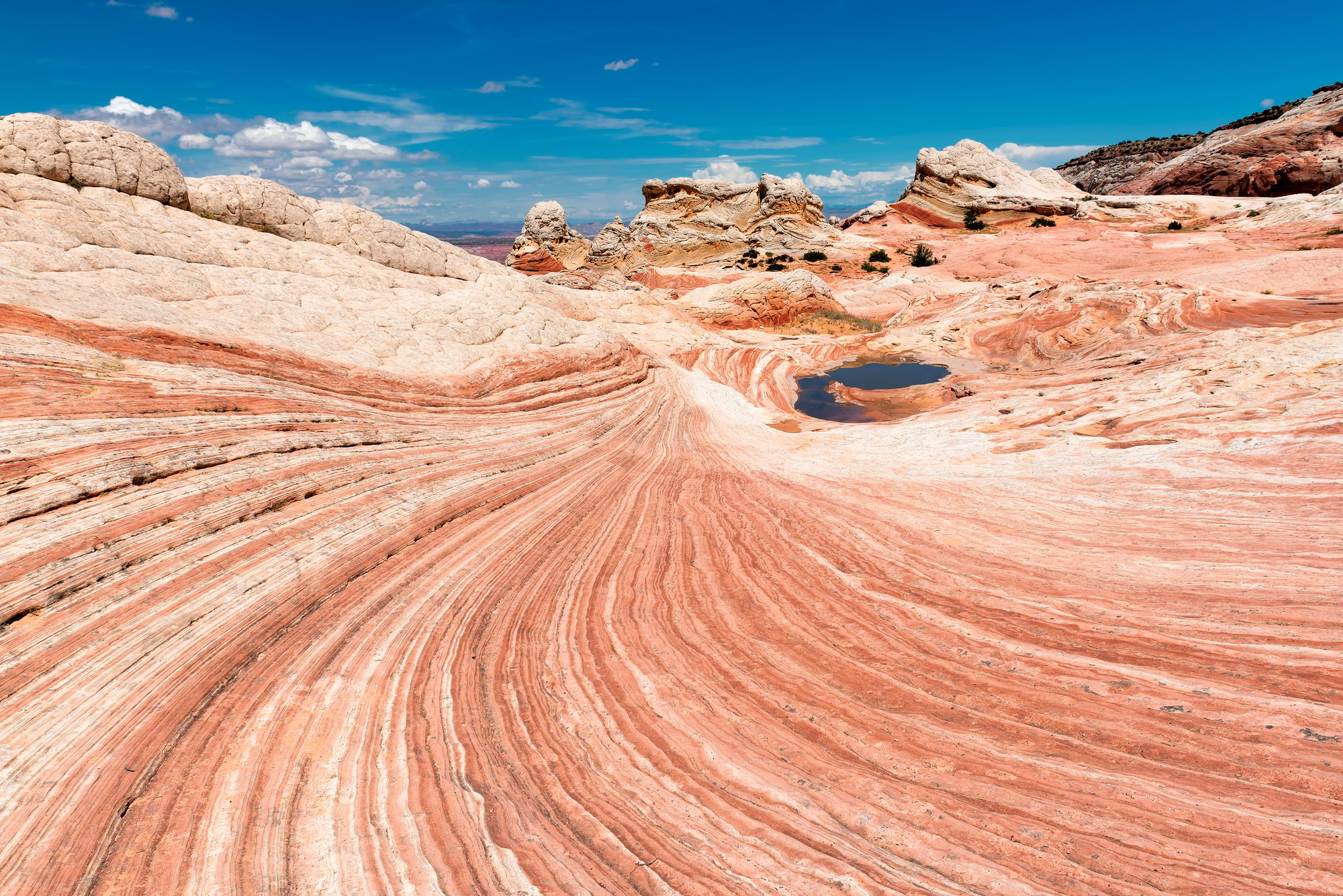 testata-disciplinare-scienze della terra_shutterstock_696400945