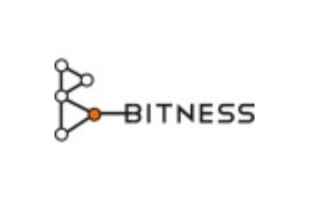 bitness logo