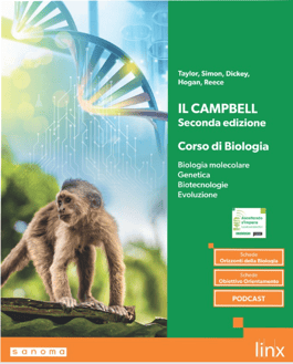 cover-campbell-II-biennio-catalogo