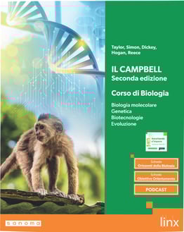 cover-campbell-catalogo-secondo-biennio