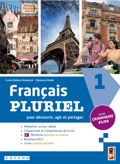 francais_pluriel_grammaire_cover (2)
