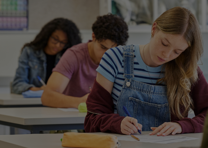 img-evidenza-webinar-esame-maturita-shutterstock_2661740343