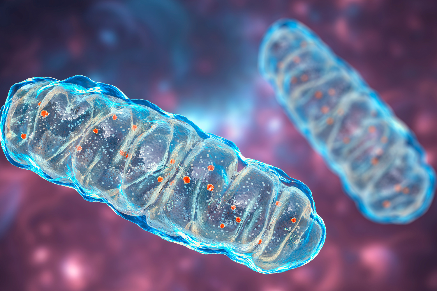 testata-disciplinare-biologia-shutterstock_2143426689