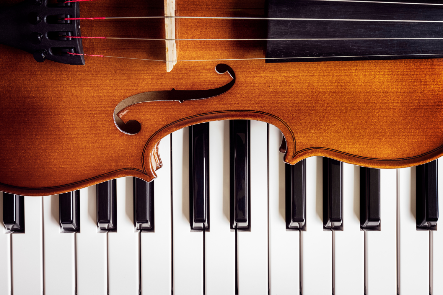 testata-disciplinare-musica-sspg-shutterstock_2033185535