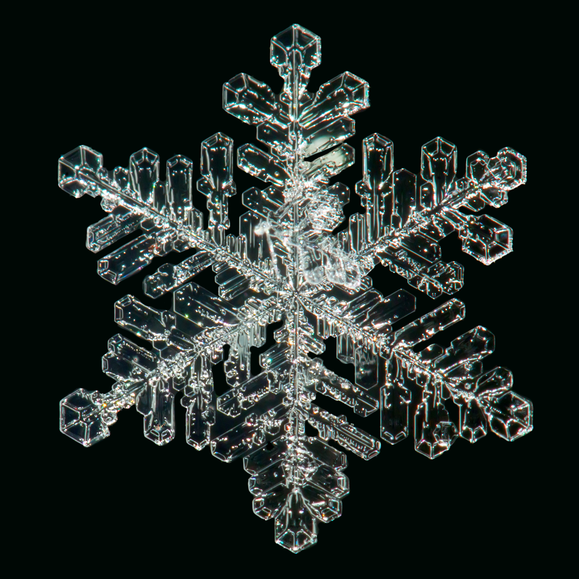 Snowflakes, a winter wonder | Science Factory di Sanoma Italia
